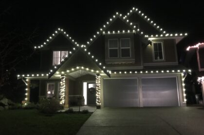 Professional Christmas Light Installer