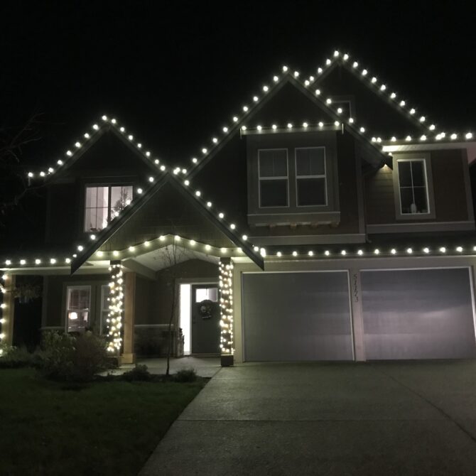 Professional Christmas Light Installer