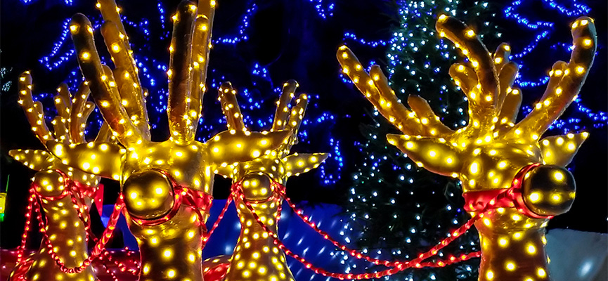 Where to See Christmas Lights in Indianapolis