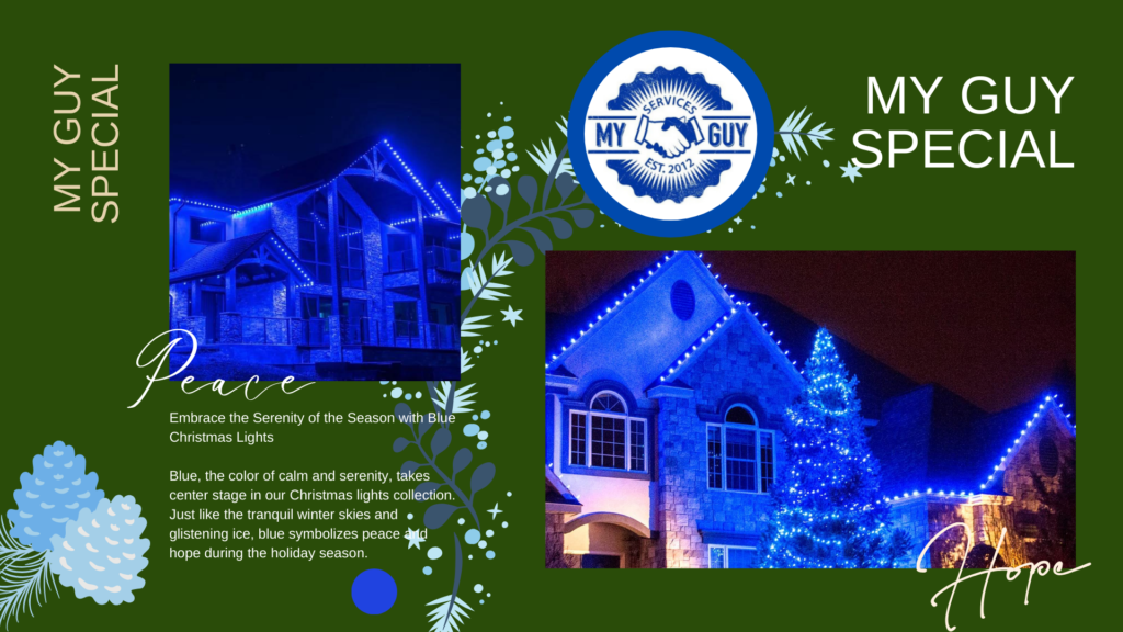 Our Christmas Lights Designs