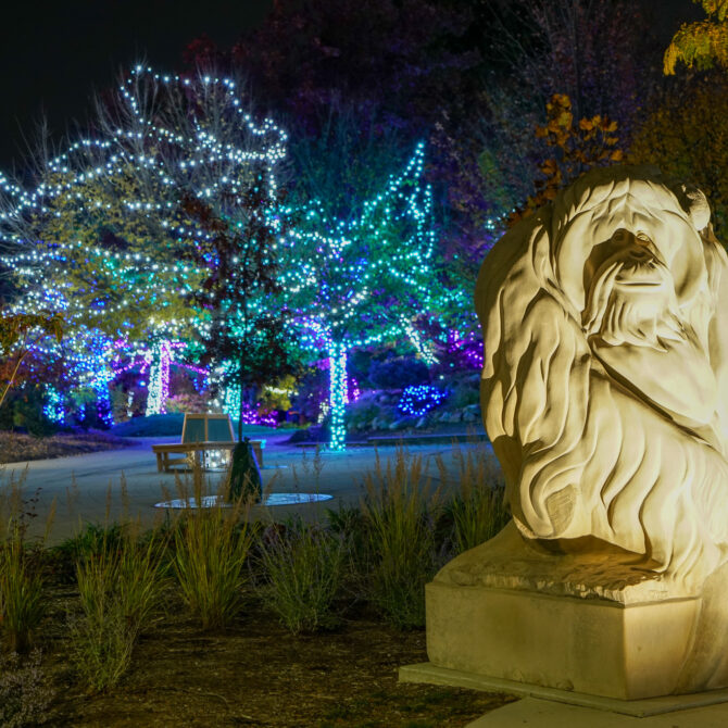 Statue at Indianapolis Zoo with Christmas lights behind