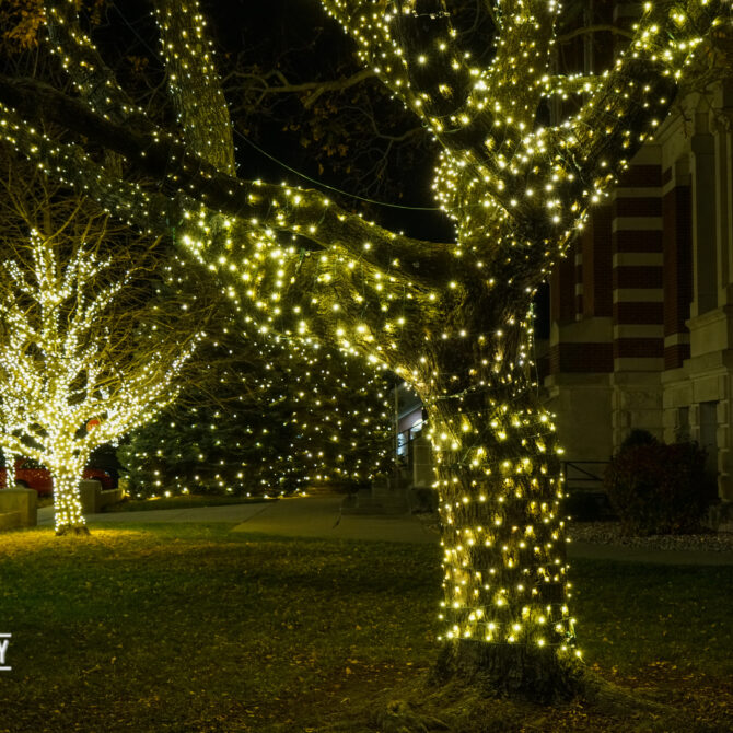 Christmas Light Installation