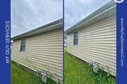 Why Mold Shows Up on Beech Grove Siding