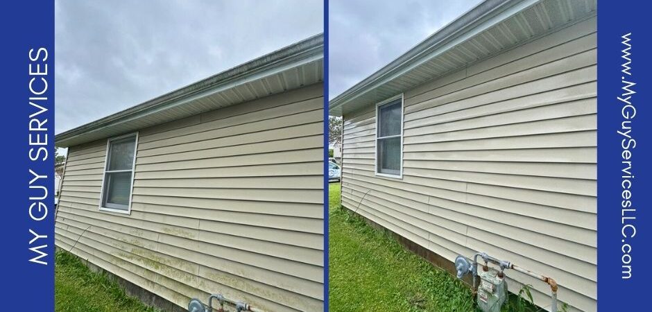Why Mold Shows Up on Beech Grove Siding