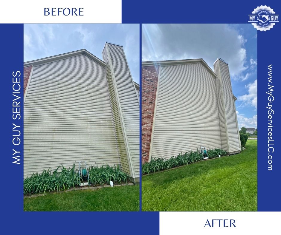 Greenwood home siding before and after algae removal