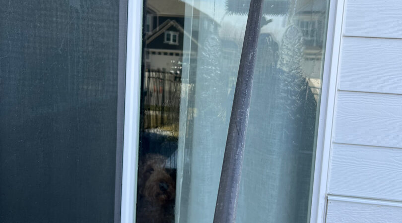 Professional Carmel window cleaning service team in action